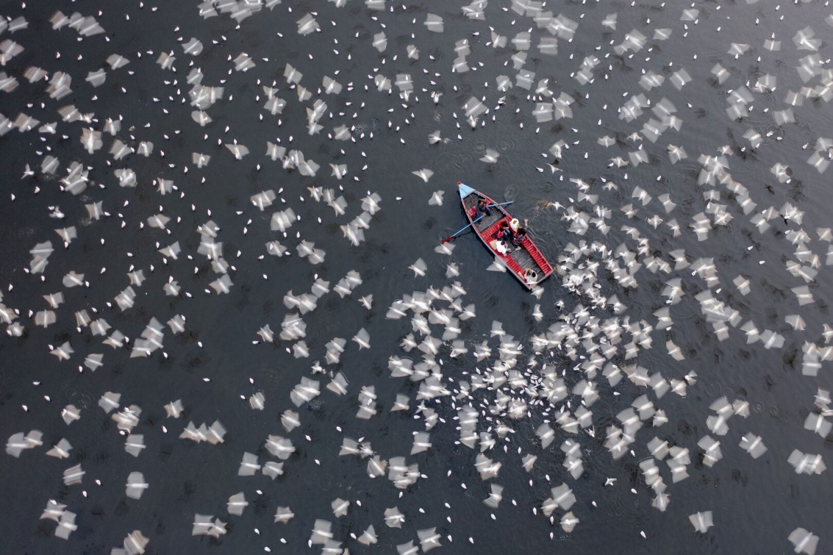 2026 International Aerial Photographer of the Year