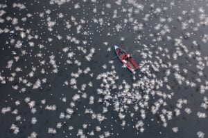 2026 International Aerial Photographer of the Year