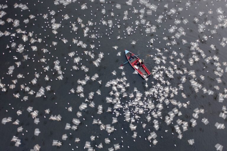 2026 International Aerial Photographer of the Year