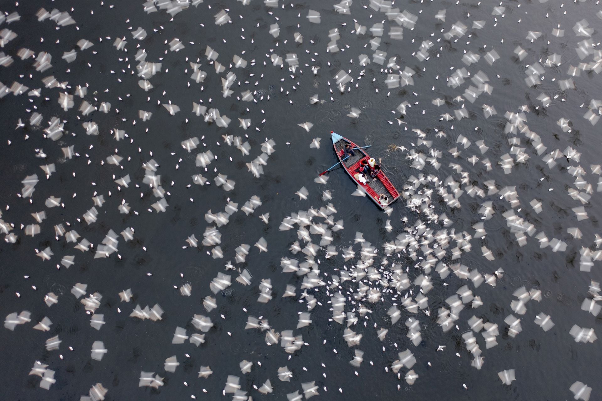 2026 International Aerial Photographer of the Year