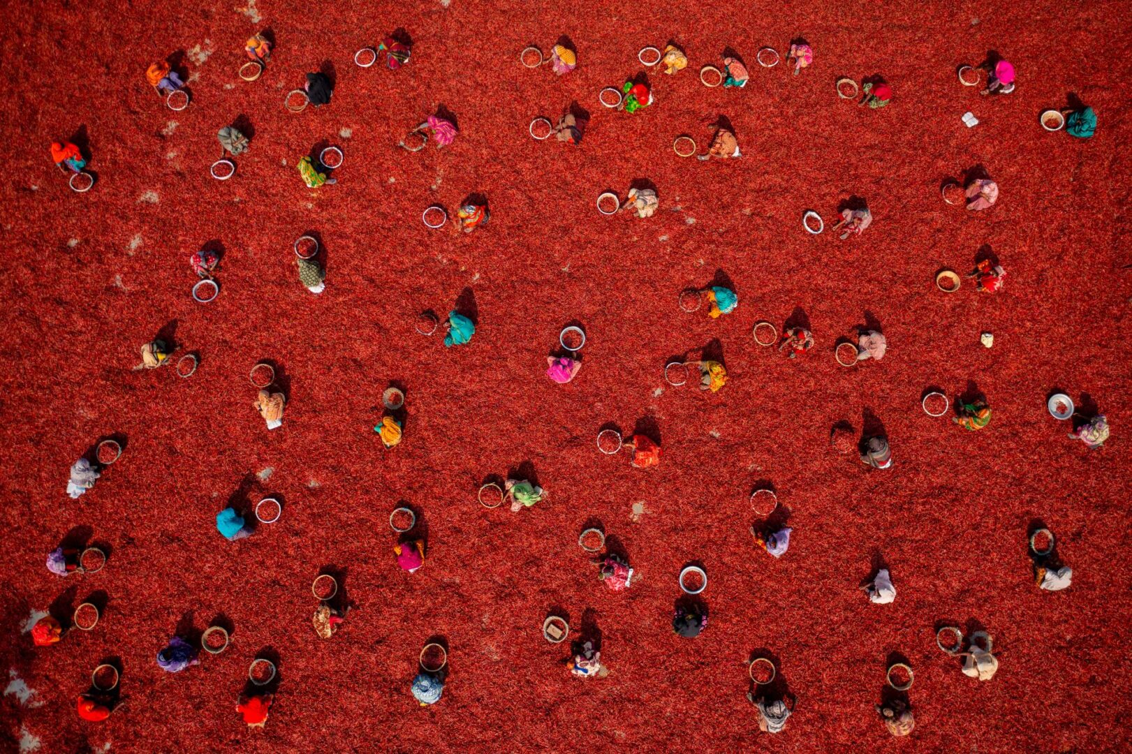 2026 International Aerial Photographer of the Year