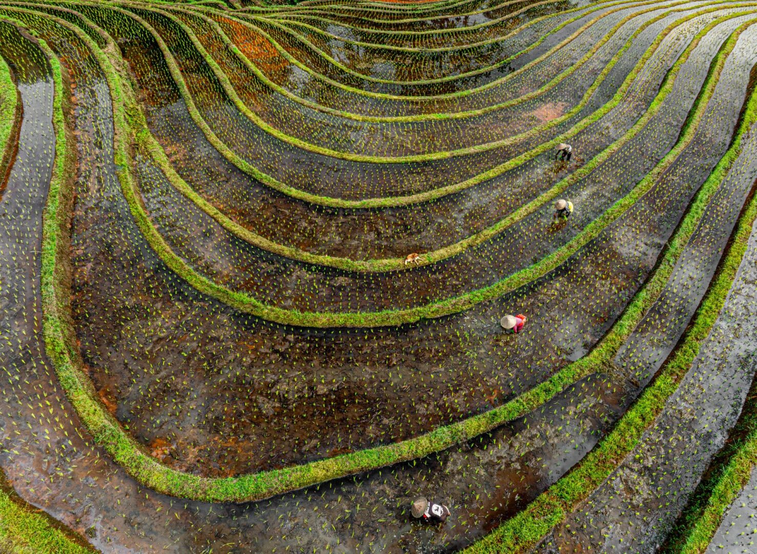 aerial photo second placxe