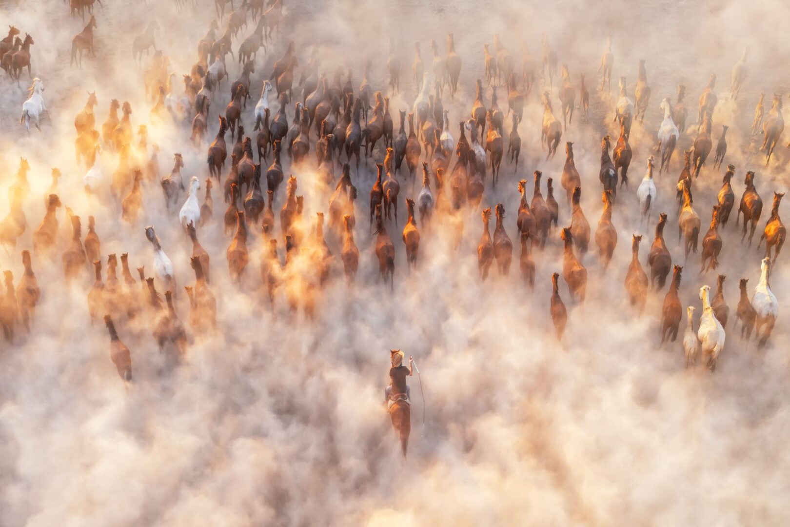 2026 International Aerial Photographer of the Year