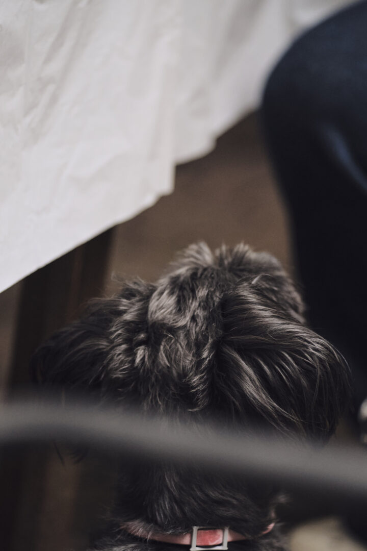 Sample Image Taken with the Viltrox AF 75mm F1.8 EVO