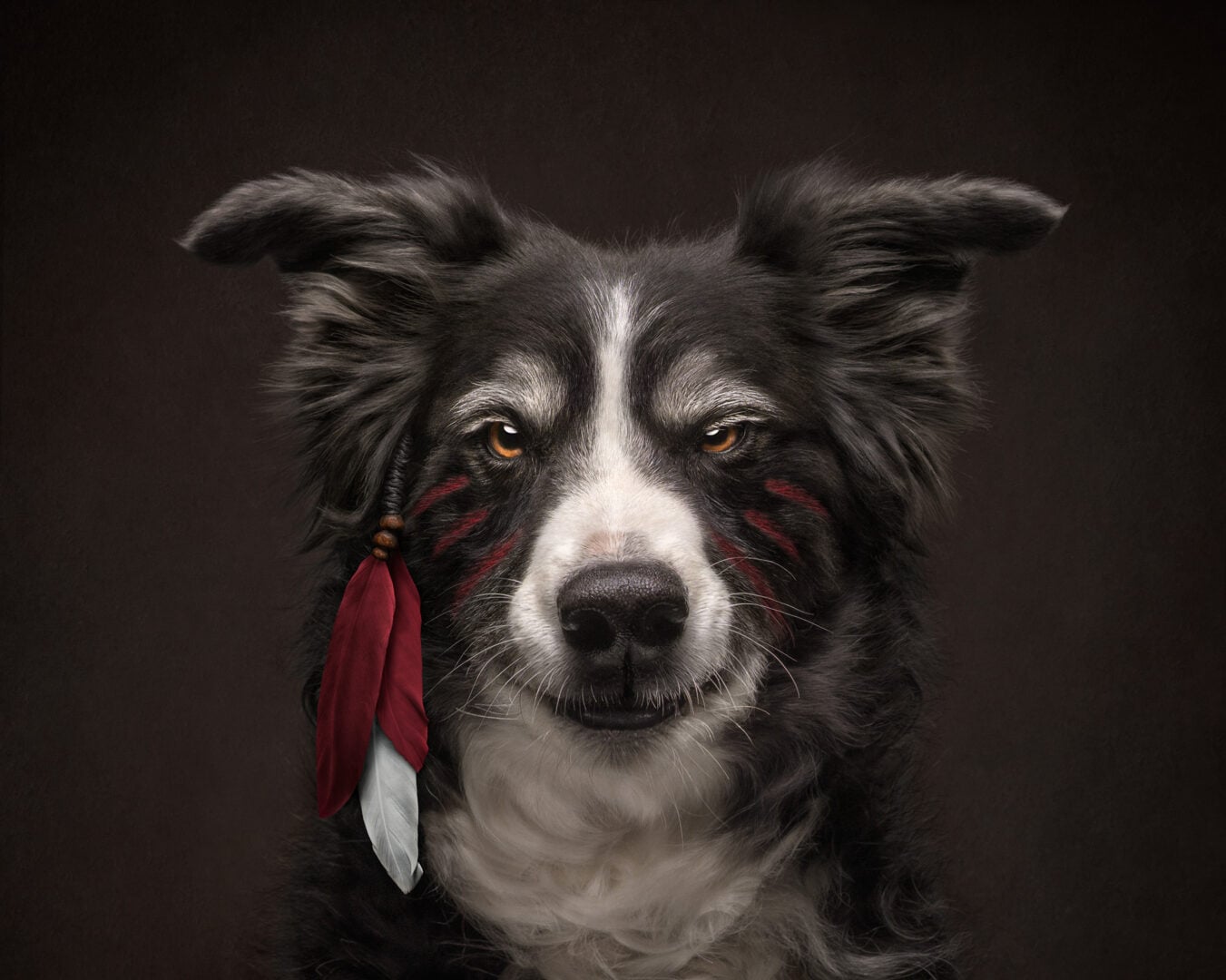 dog portrait