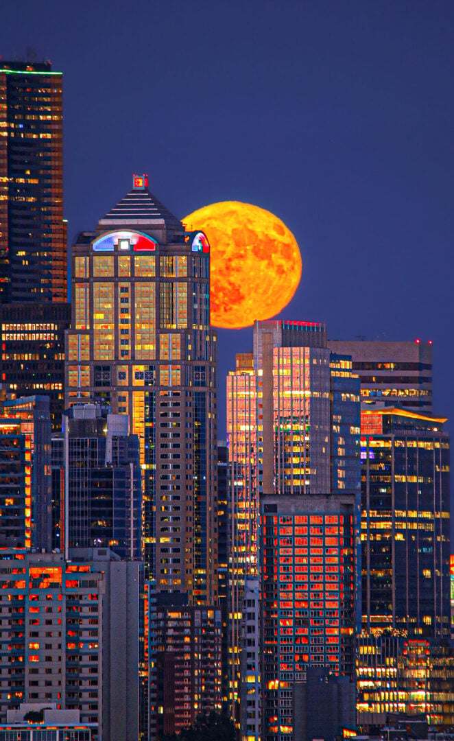 cityscape moon