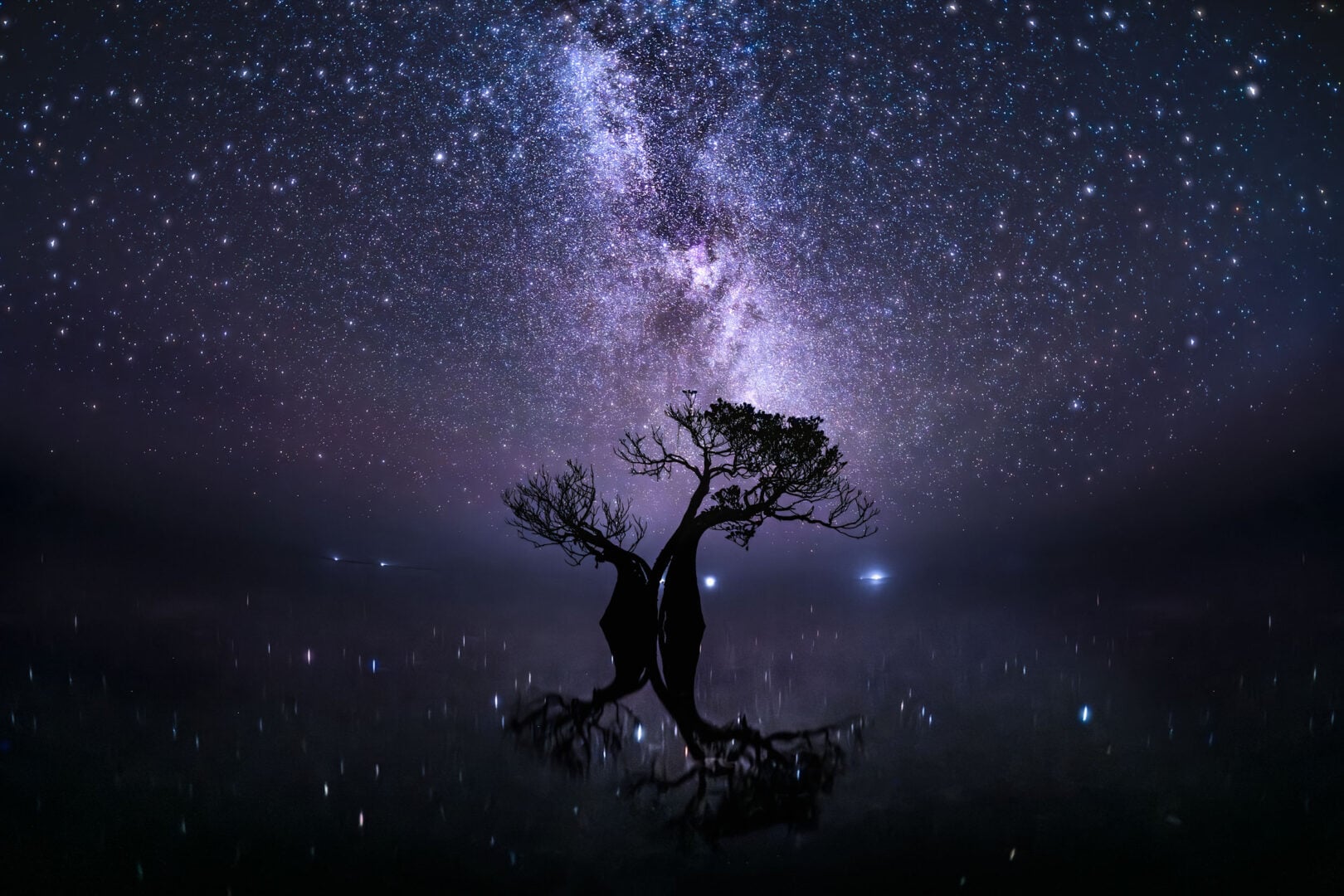 The Stunning Winners of the 2026 Mangrove Photography Awards Highlight a Fragile World