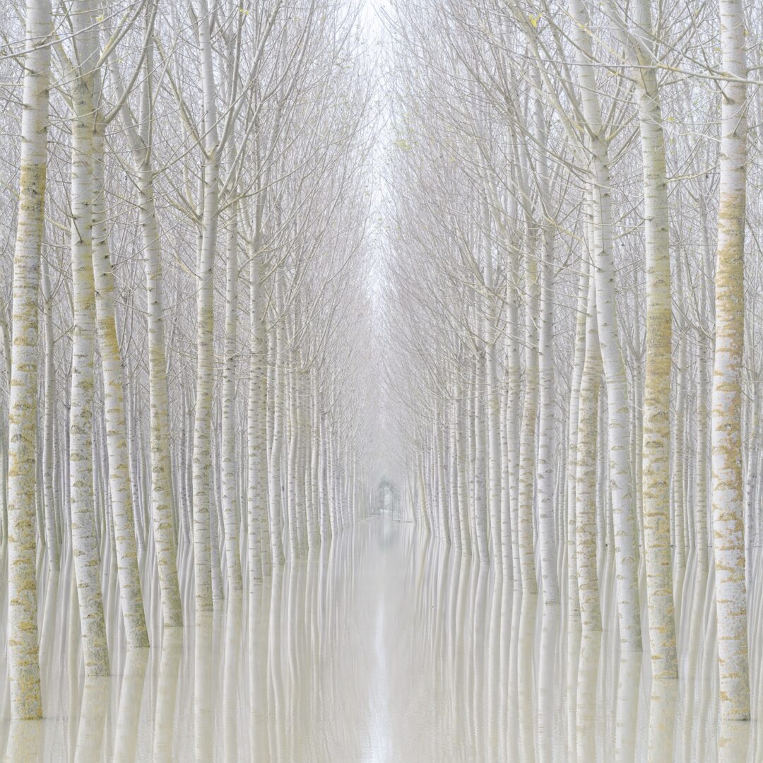 Rohan Reilly | Ephemeral Visions | Ireland