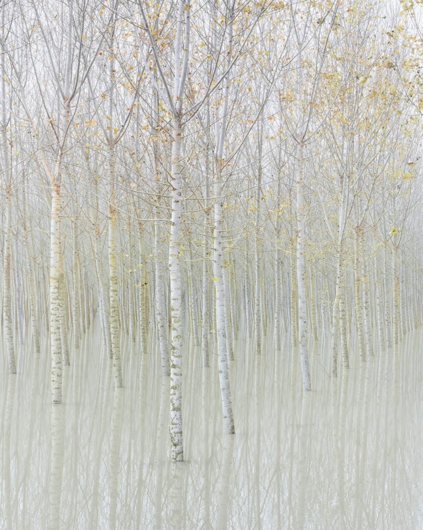 Rohan Reilly | Ephemeral Visions | Ireland