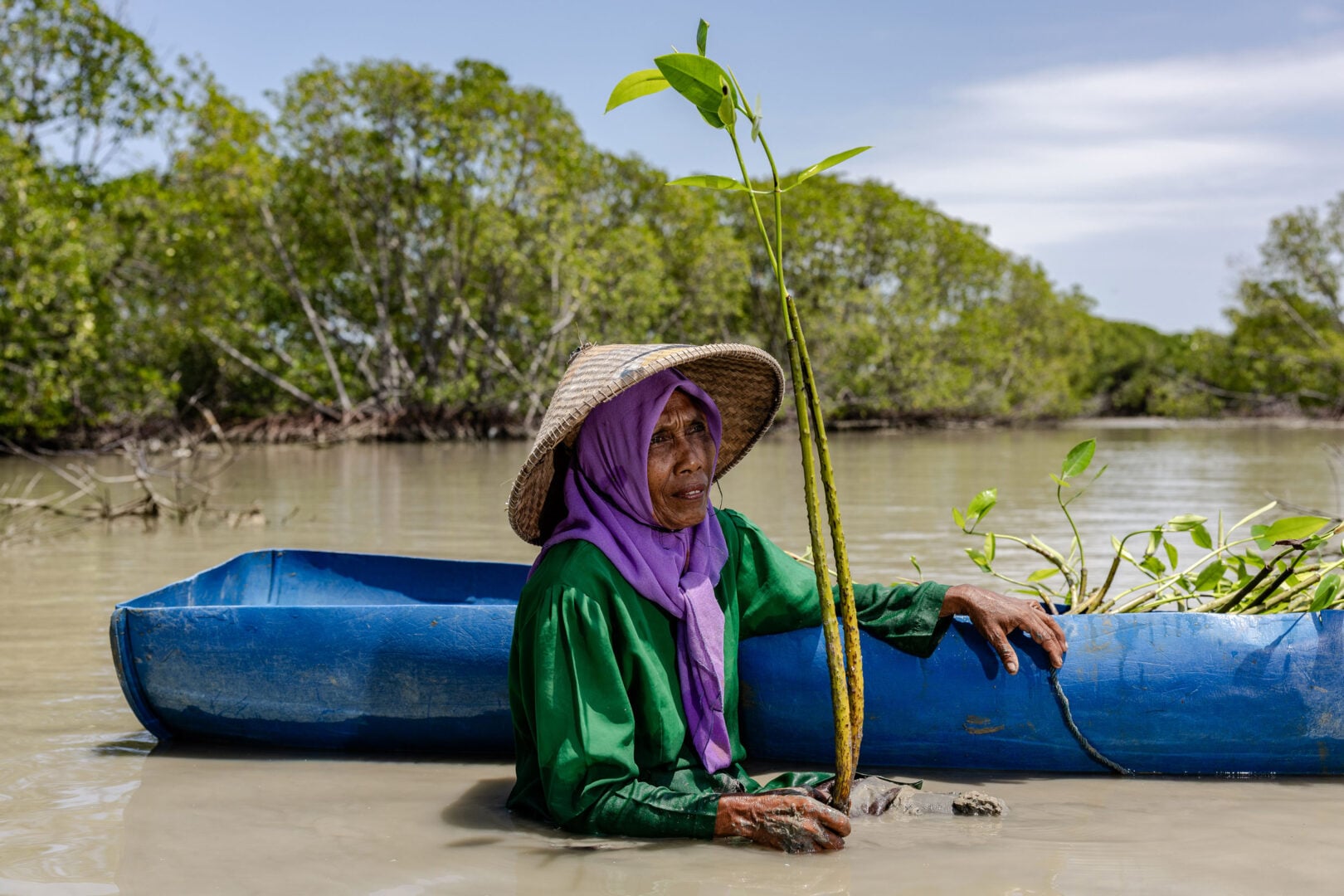 The Stunning Winners of the 2026 Mangrove Photography Awards Highlight a Fragile World