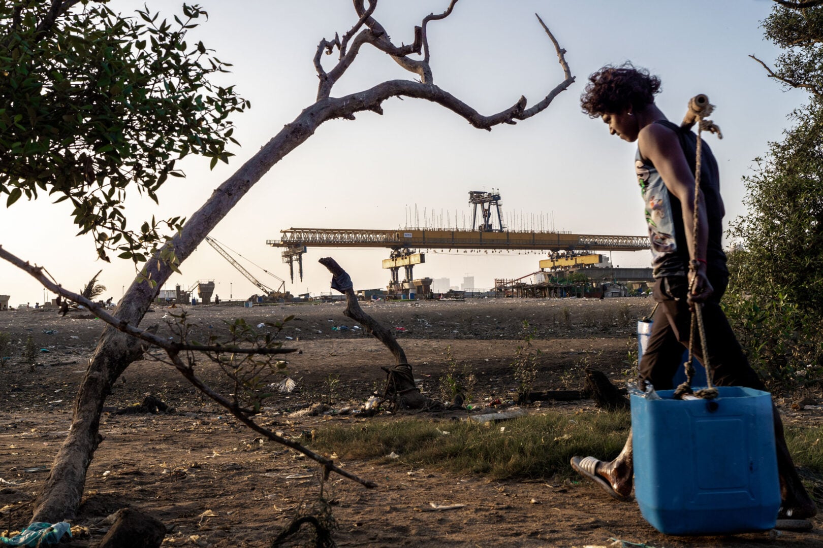 The Stunning Winners of the 2026 Mangrove Photography Awards Highlight a Fragile World