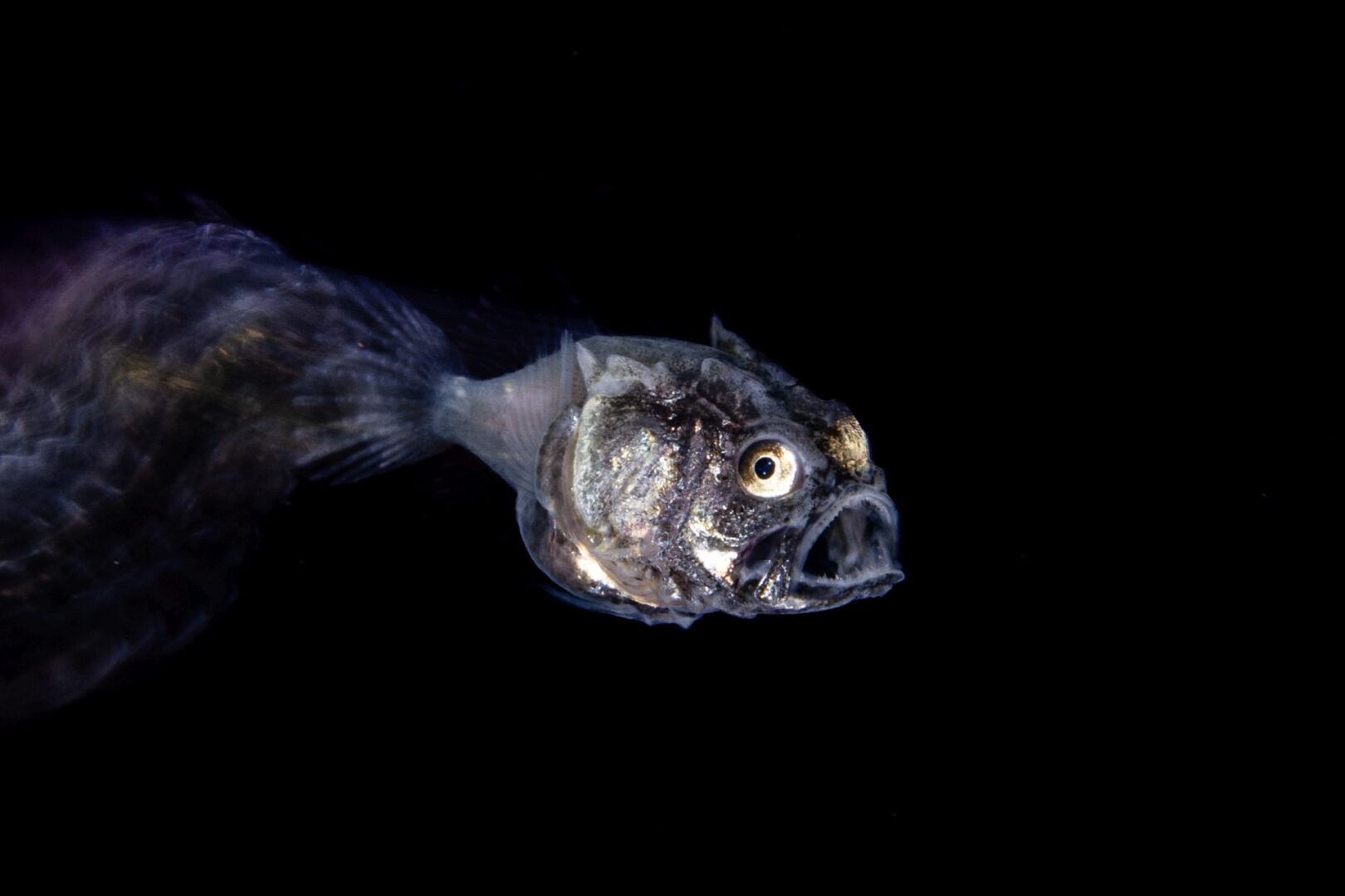 underwater