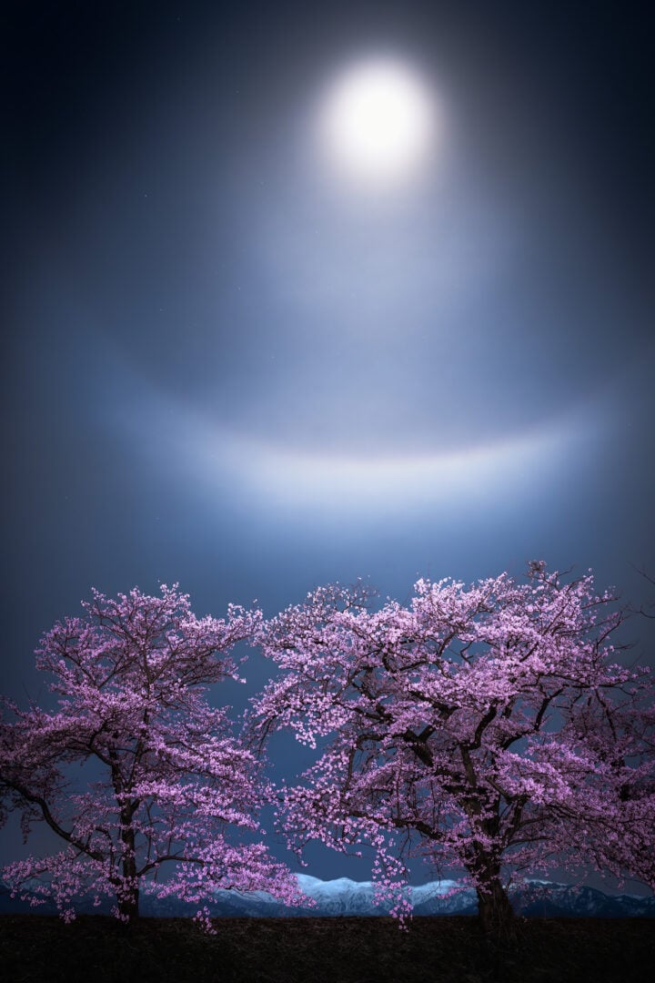 ZWO Astronomy Photographer of the Year 2026 shortlists