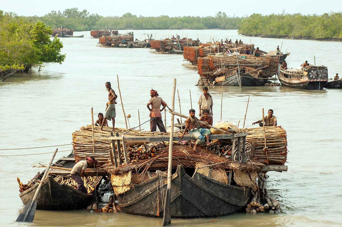 The Stunning Winners of the 2026 Mangrove Photography Awards Highlight a Fragile World