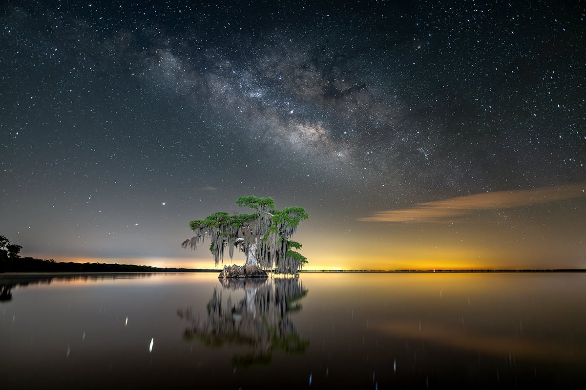 These breathtaking World Oceans Day-winning photos celebrate the beauty beneath the waves