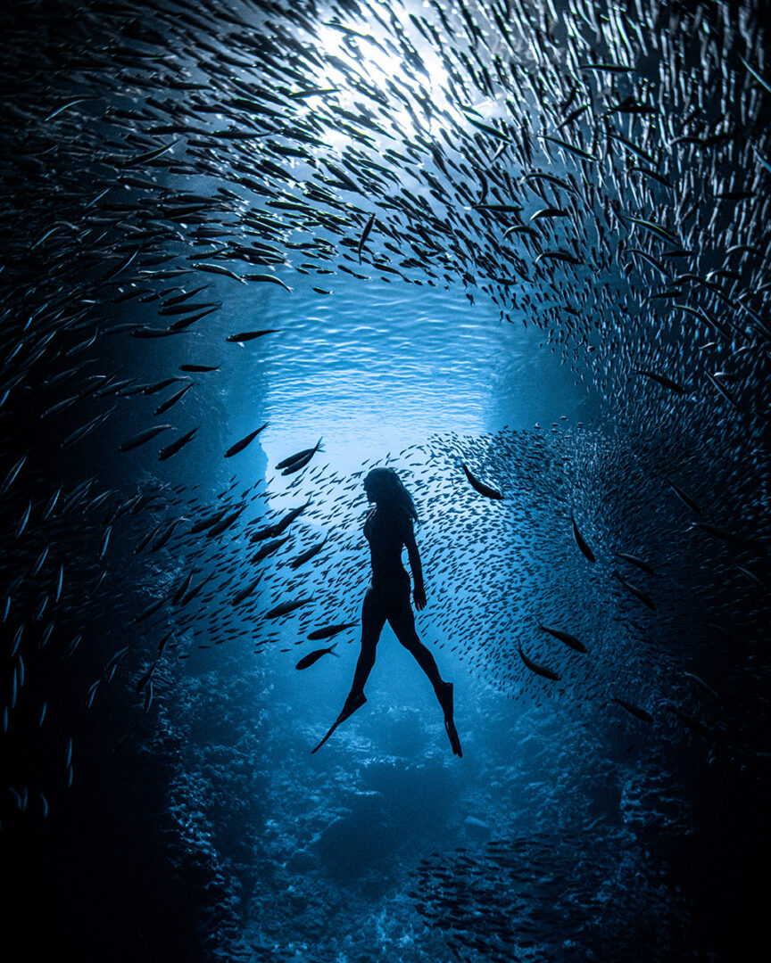 These breathtaking World Oceans Day-winning photos celebrate the beauty beneath the waves