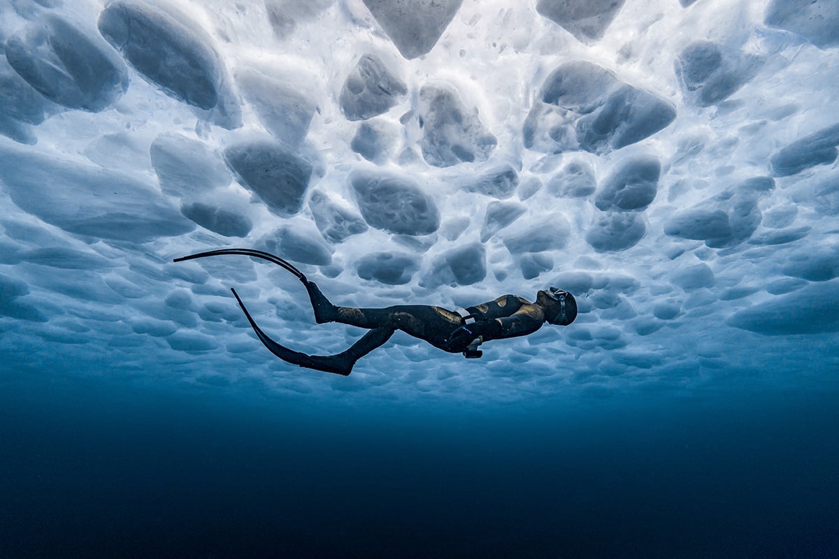 These breathtaking World Oceans Day-winning photos celebrate the beauty beneath the waves