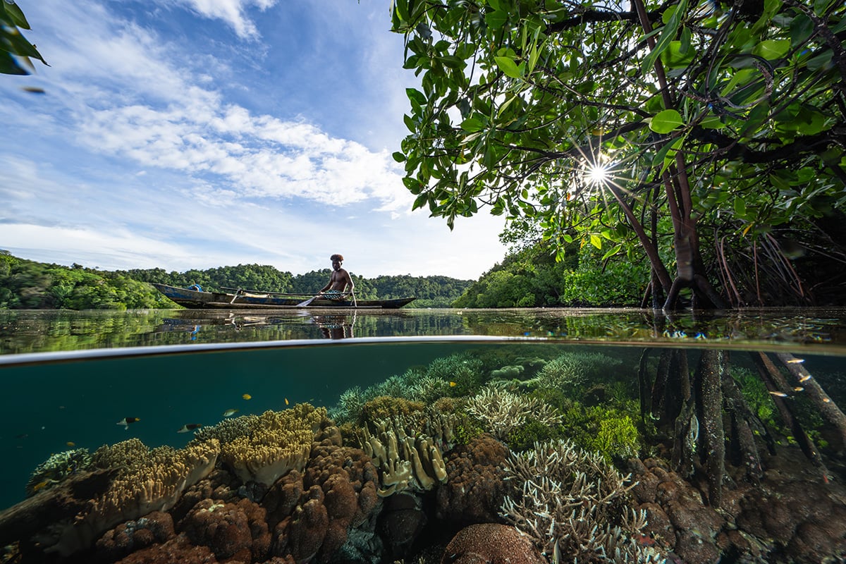 These breathtaking World Oceans Day-winning photos celebrate the beauty beneath the waves