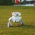 beni the robot