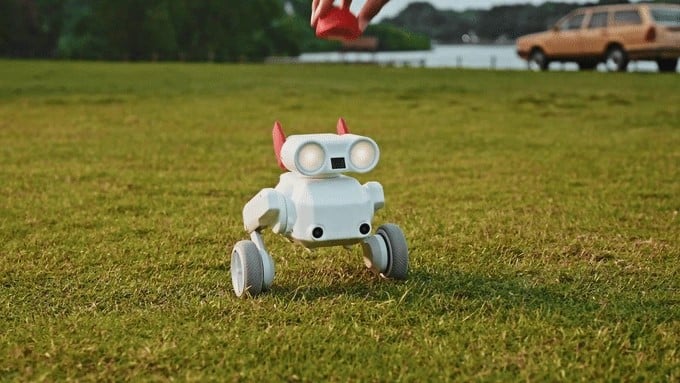 beni the robot