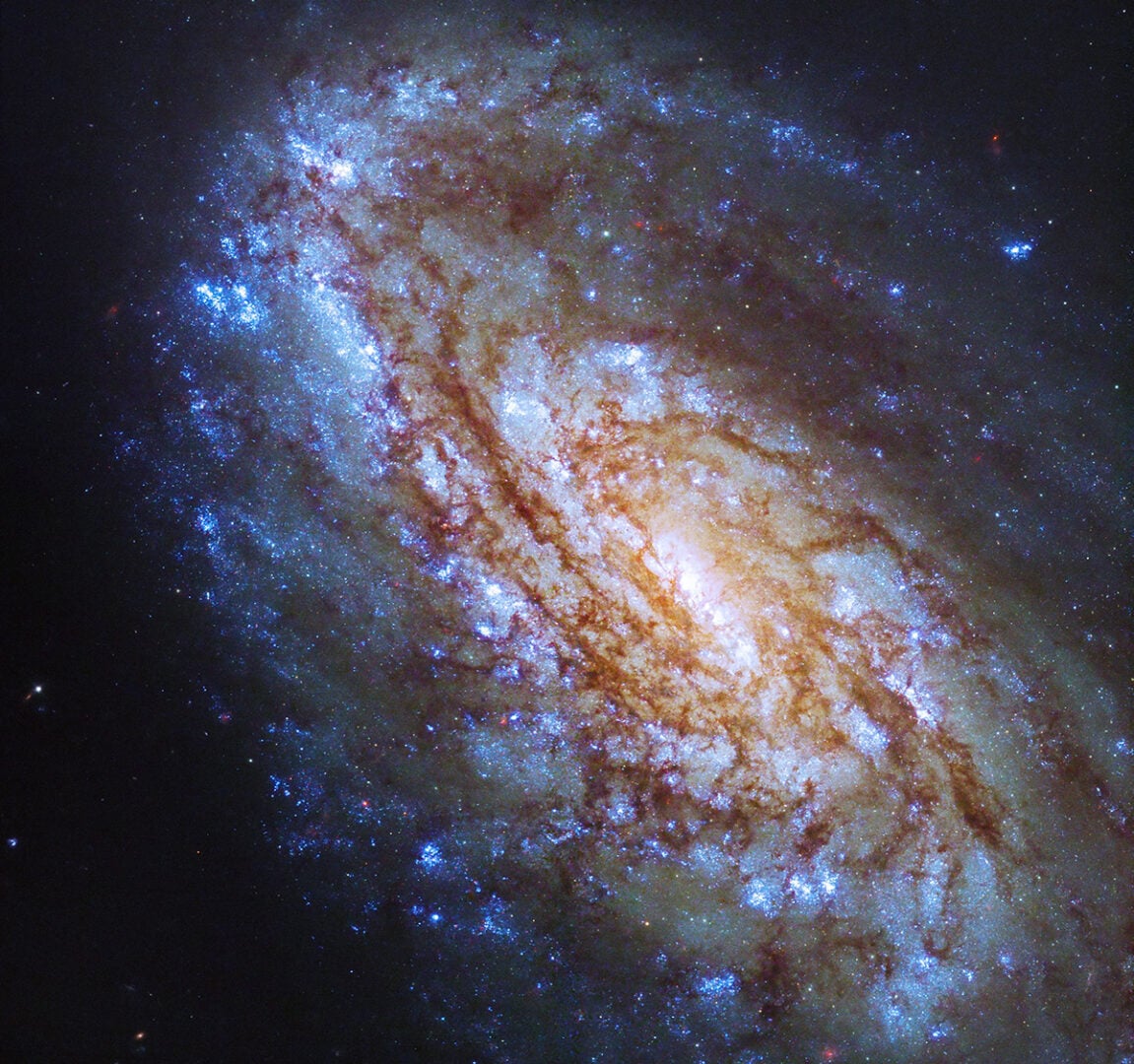 The Hubble Space Telescope captured this image of NGC 4654 in 2023. Credit: NASA's Hubble Space Telescope, ESA, and J. Lee (Space Telescope Science Institute); Processing: Gladys Kober (NASA/Catholic University of America)