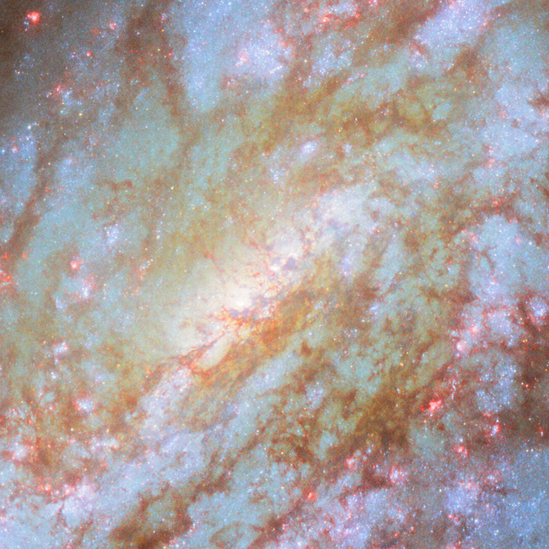 A close-up (cropped) view towards the center of NGC 4654. Credit: ESA/Hubble & NASA, D. Thilker, J. Lee and the PHANGS-HST Team
