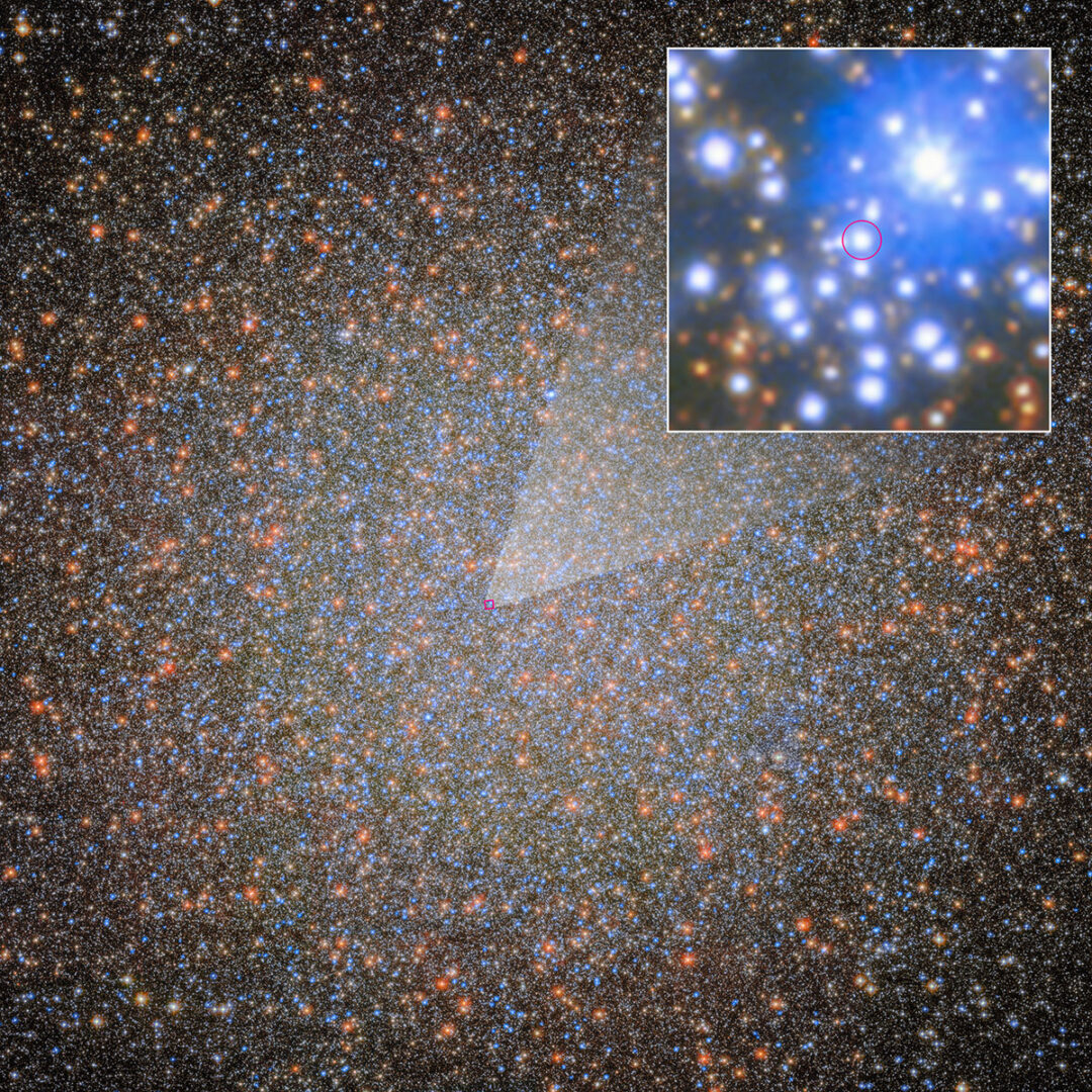 Called oMEGACat BH-2, this is the first stellar-mass black hole ever found in Omega Centauri. Credit: ESA, NASA, Maximilian Häberle (MPIA), Joseph DePasquale (STScI)