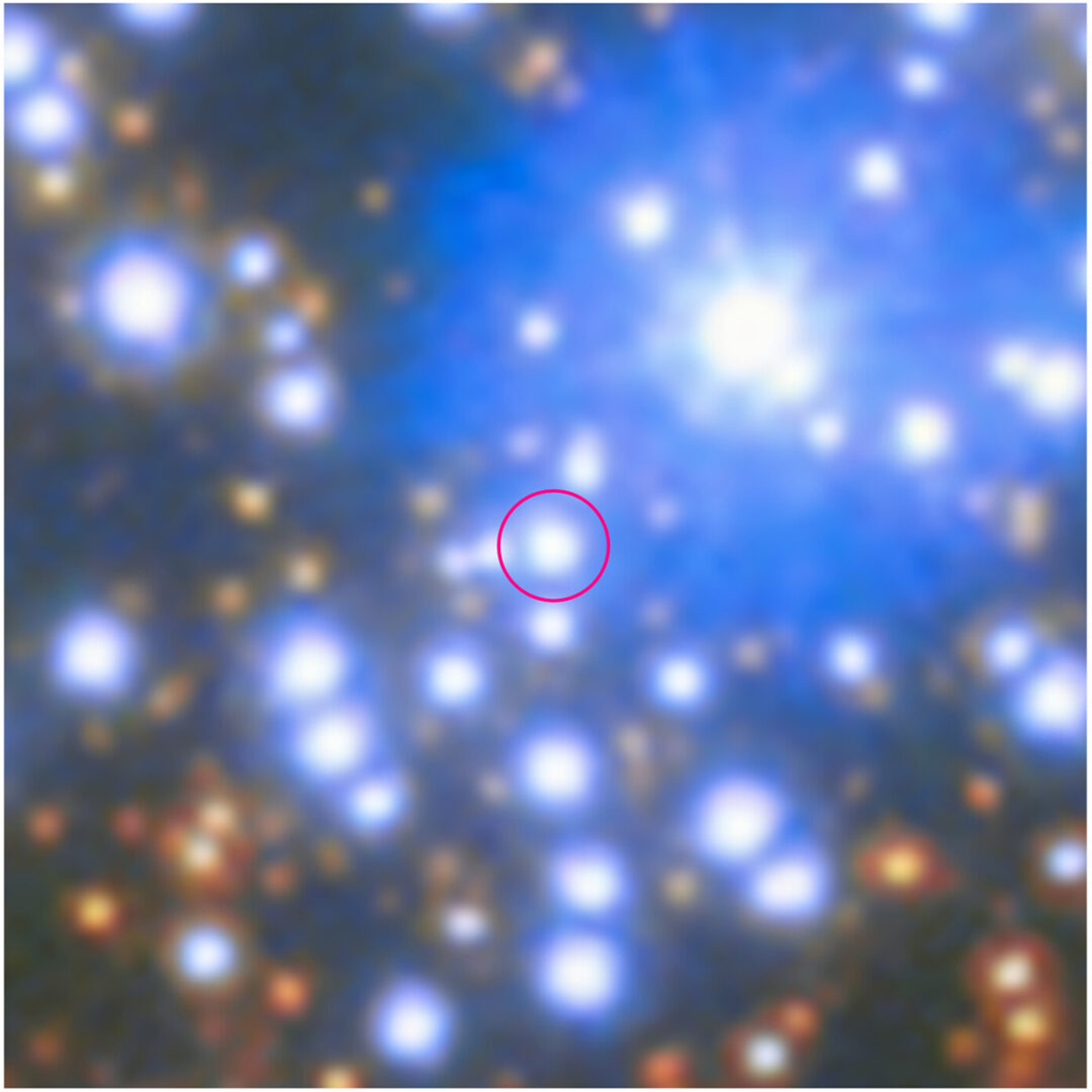A close-up of the region that hosts the black hole. The star that was studied for the discovery is marked with a red circle. Credit: ESA/Hubble & NASA, M. Häberle (MPIA)