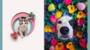pet photographer of the year finalists 2026