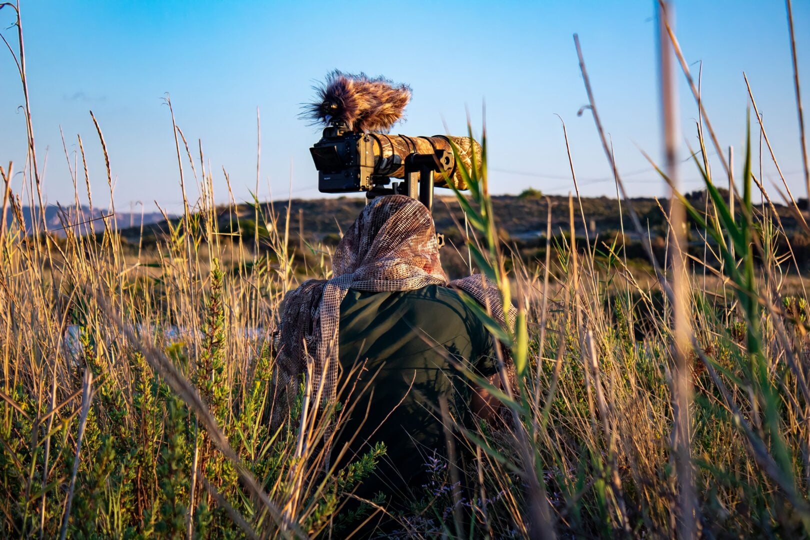 wildlife images
