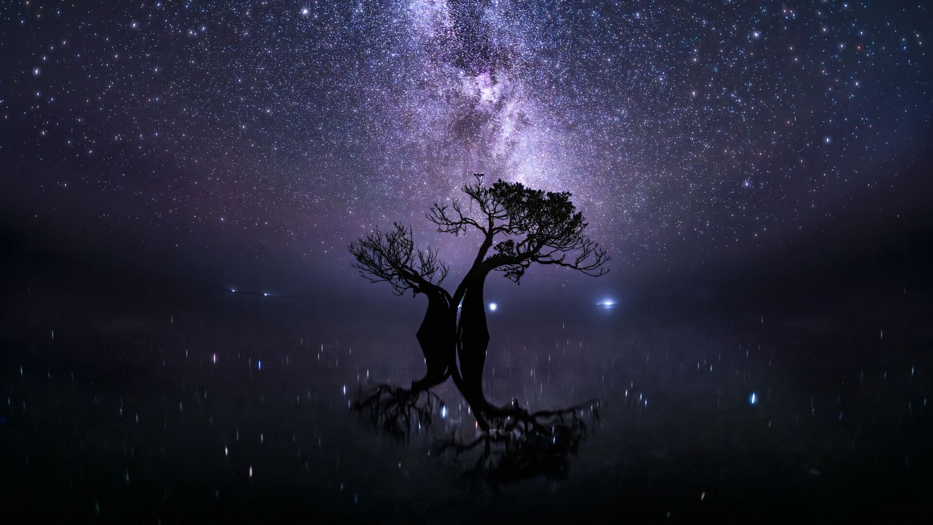 The Stunning Winners of the 2026 Mangrove Photography Awards Highlight a Fragile World