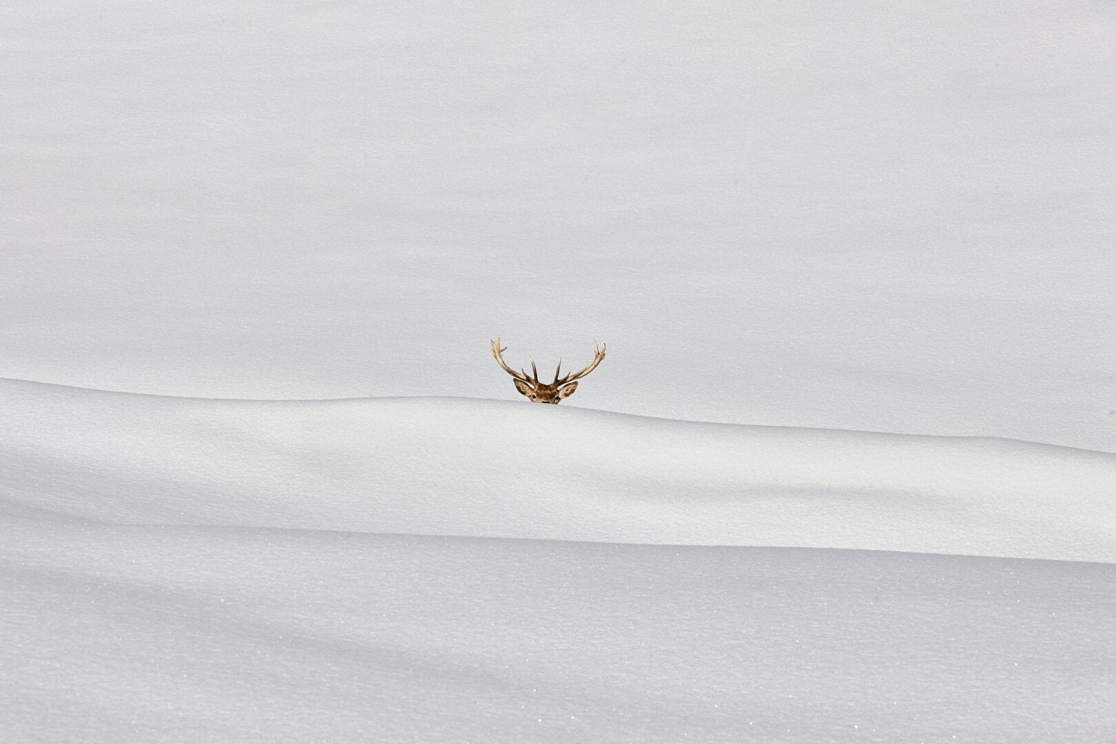 Minimalist Photography Awards 2026