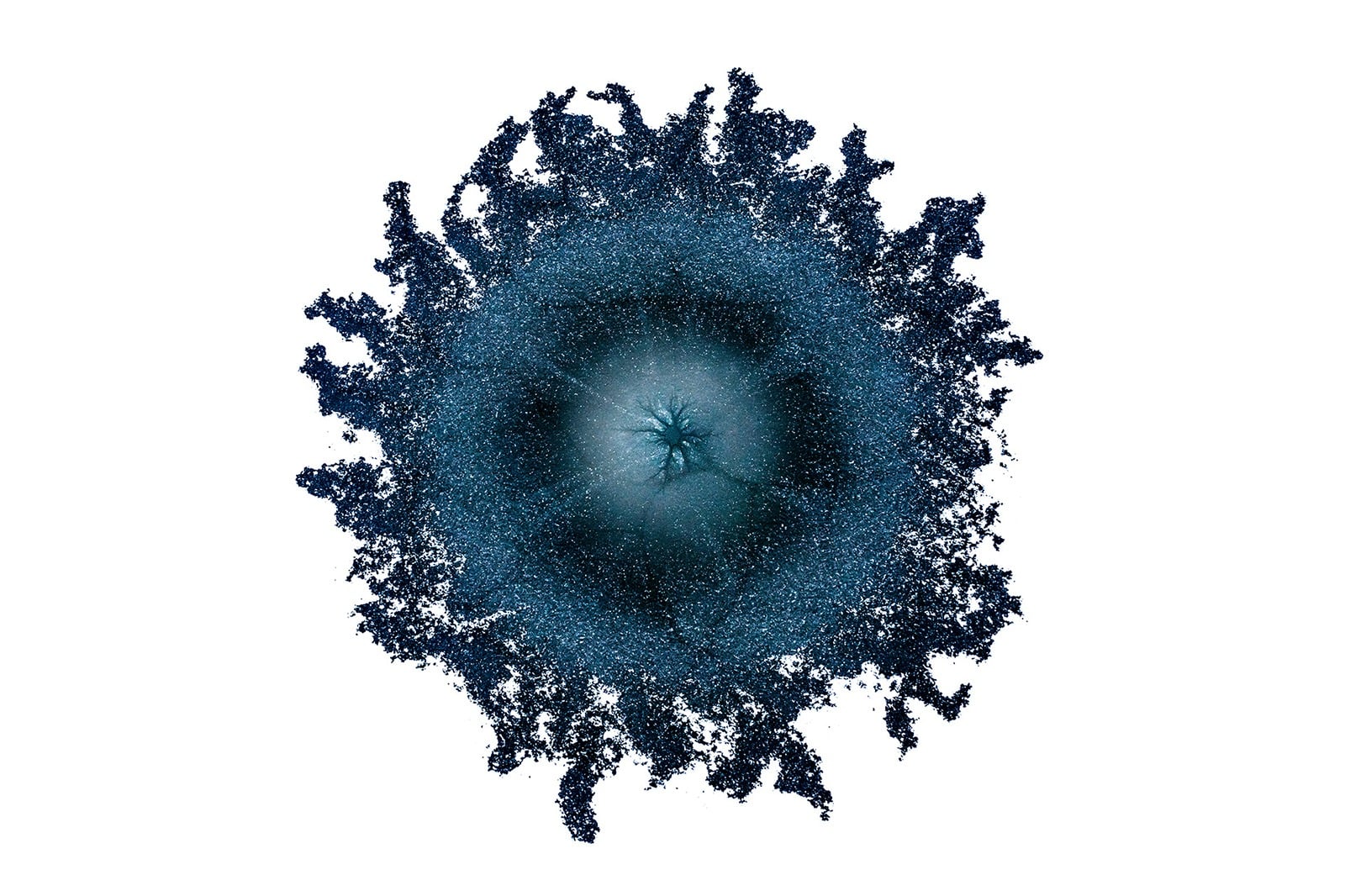 winner Minimalist Photography Awards 2026