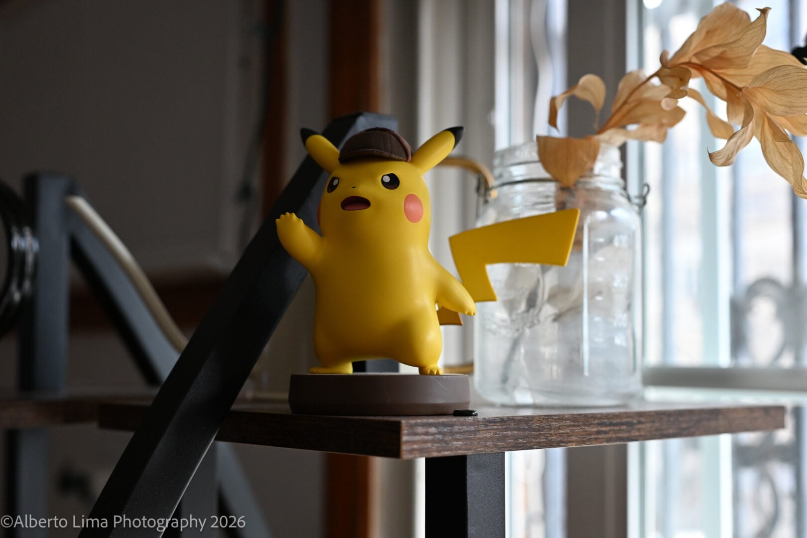 Sample image taken with the Nikon ZR and Nikon Z 50mm F1.4