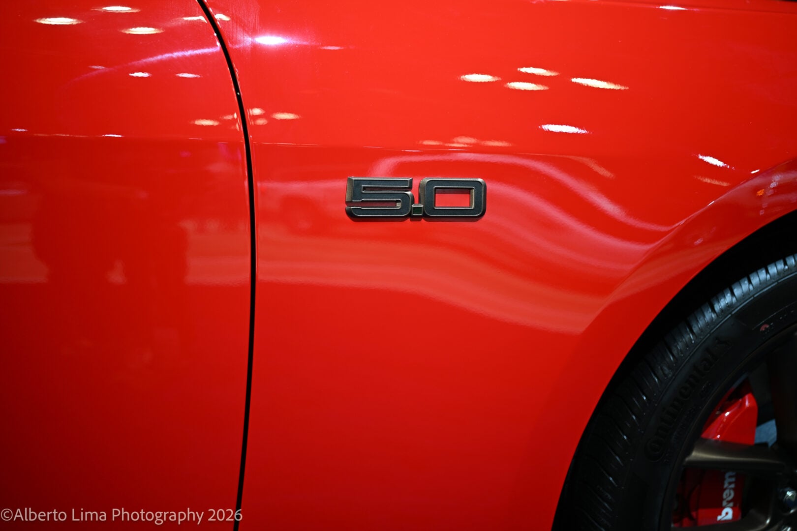Sample image taken with the Nikon ZR and Nikon Z 50mm F1.4