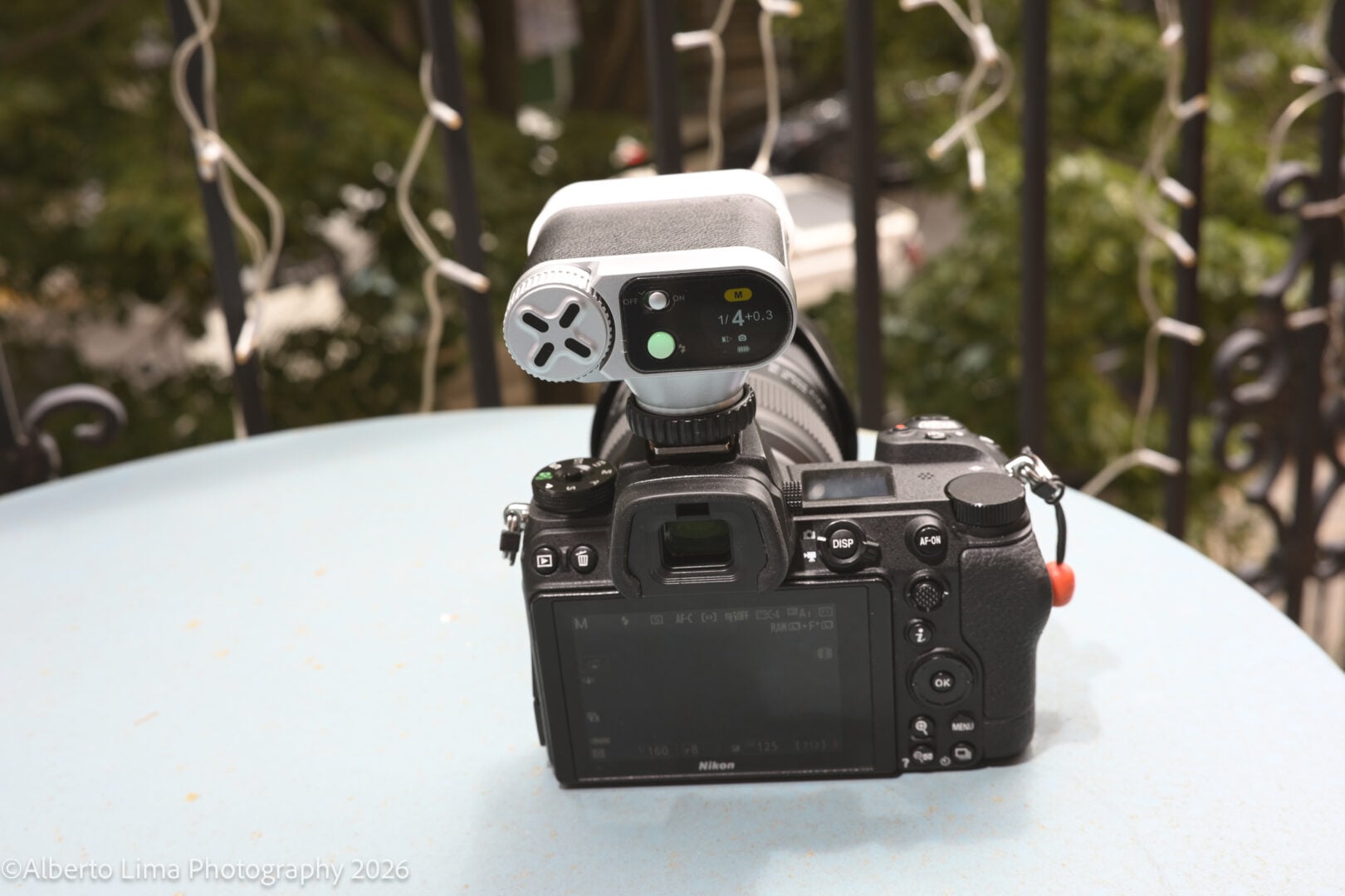 Sample image taken with the Nikon ZR and Nikon Z 50mm F1.4