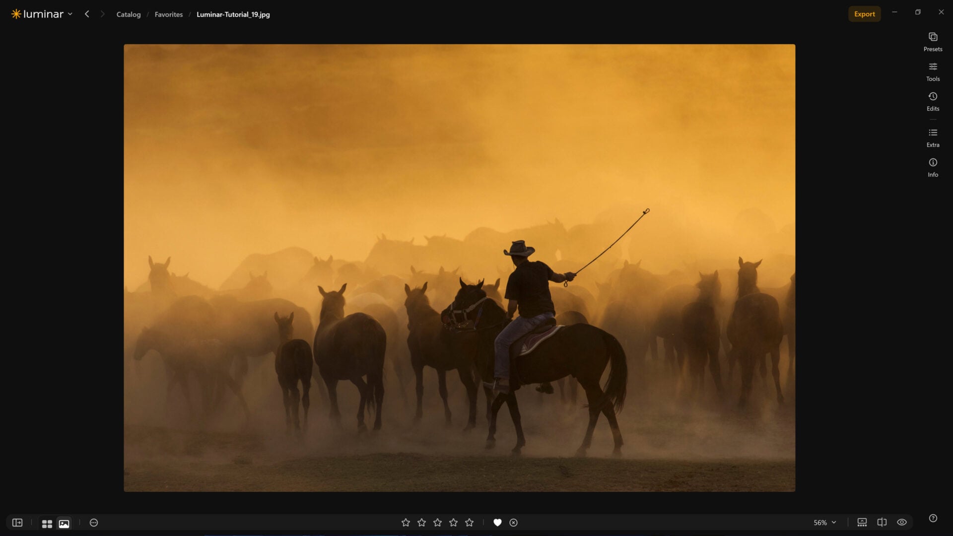 luminar neo updates