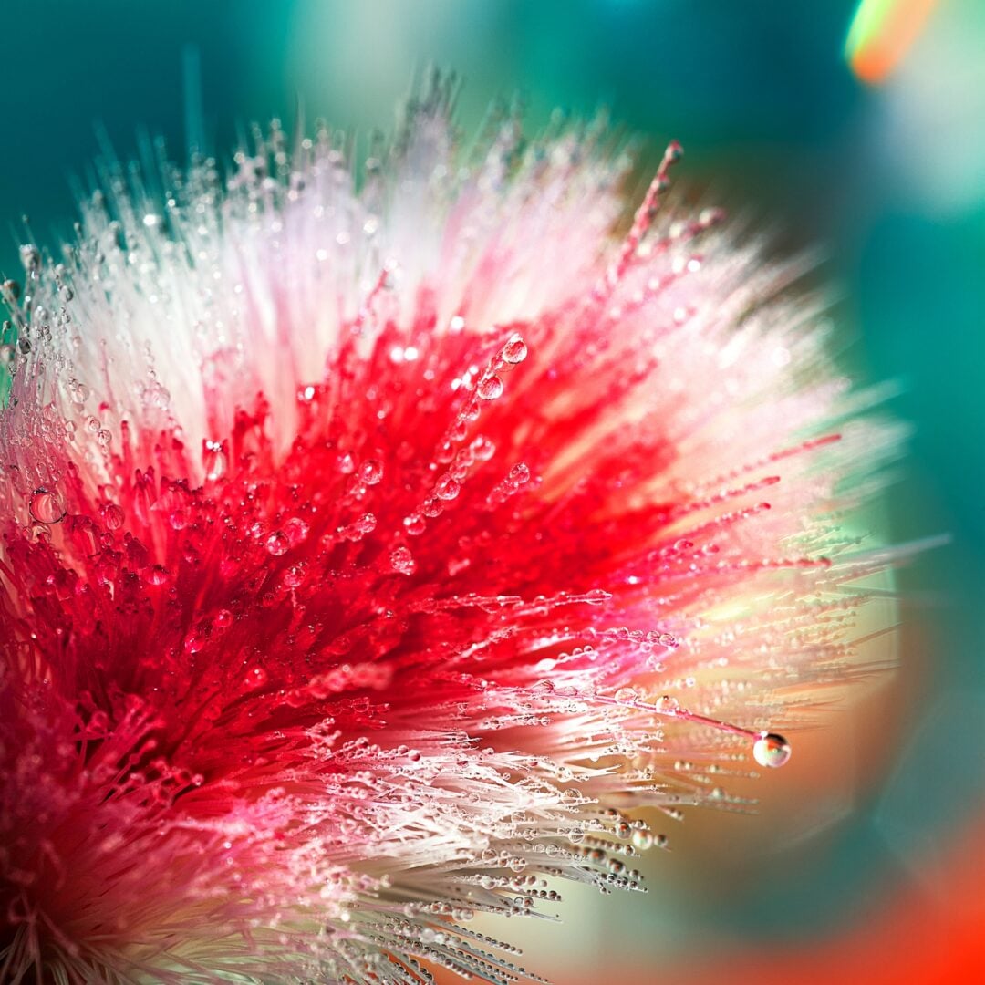 spent toothbrush closeup colgate campaign