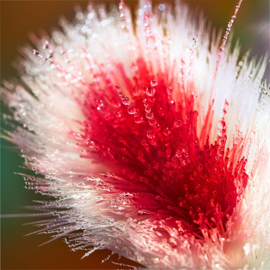 spent toothbrush closeup colgate campaign