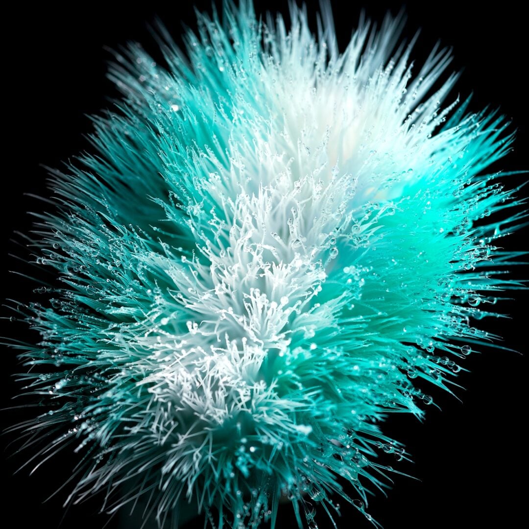 spent toothbrush closeup colgate campaign