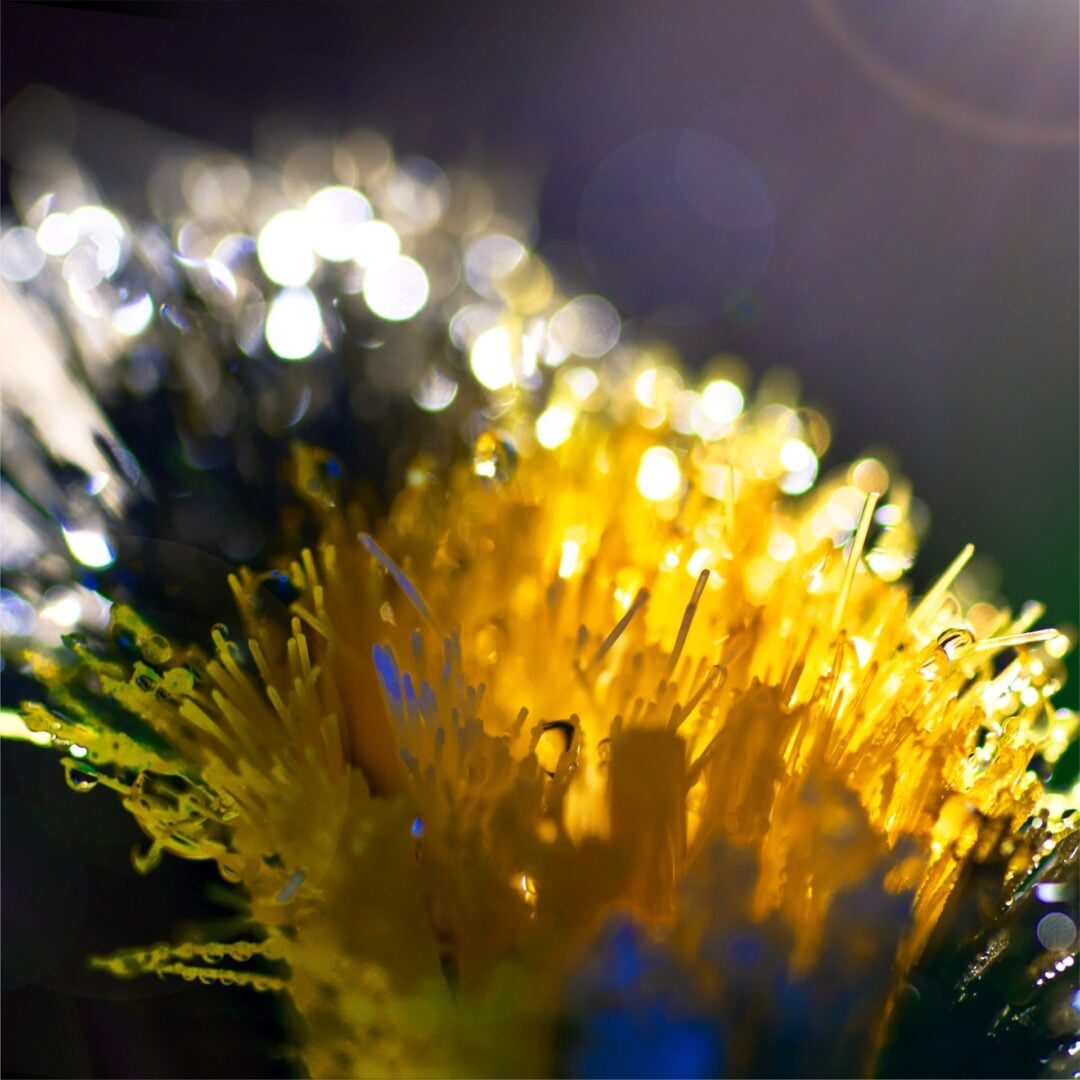 spent toothbrush closeup colgate campaign