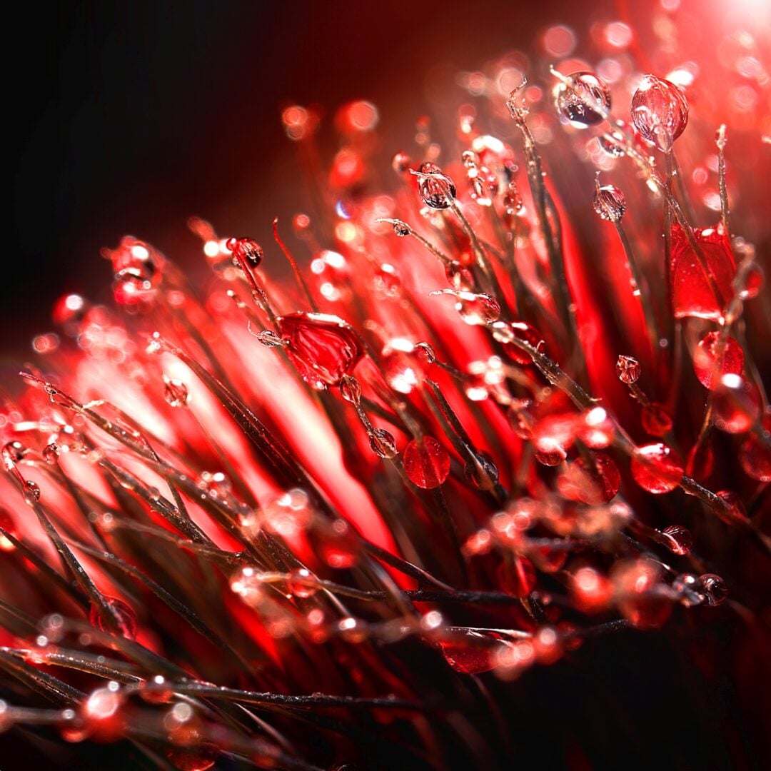 spent toothbrush closeup colgate campaign
