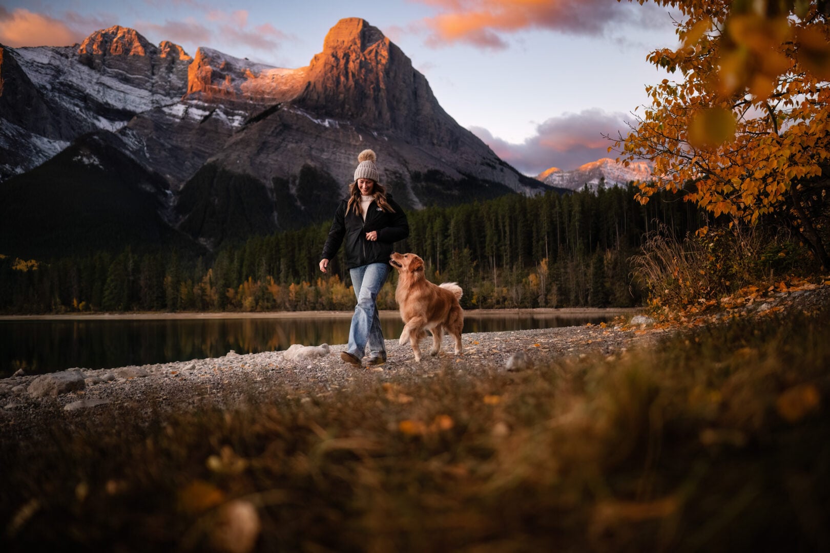 2026 Pet Photographer of the Year