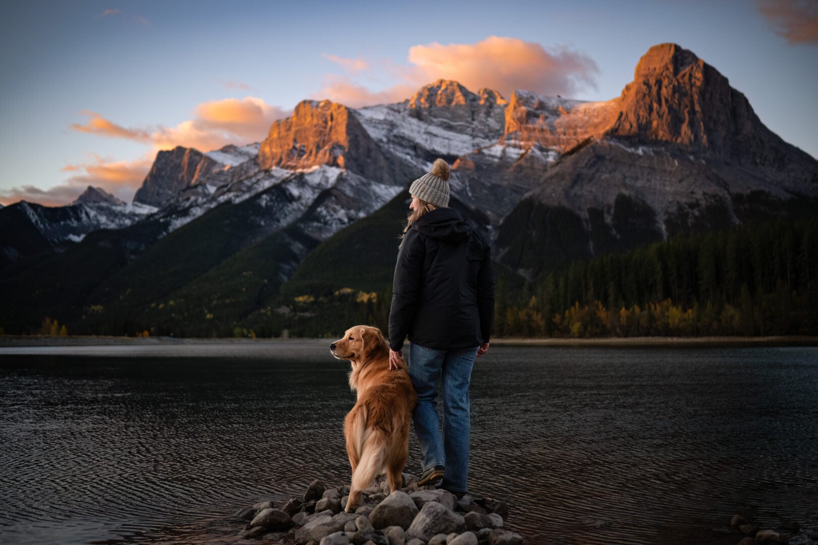 2026 Pet Photographer of the Year