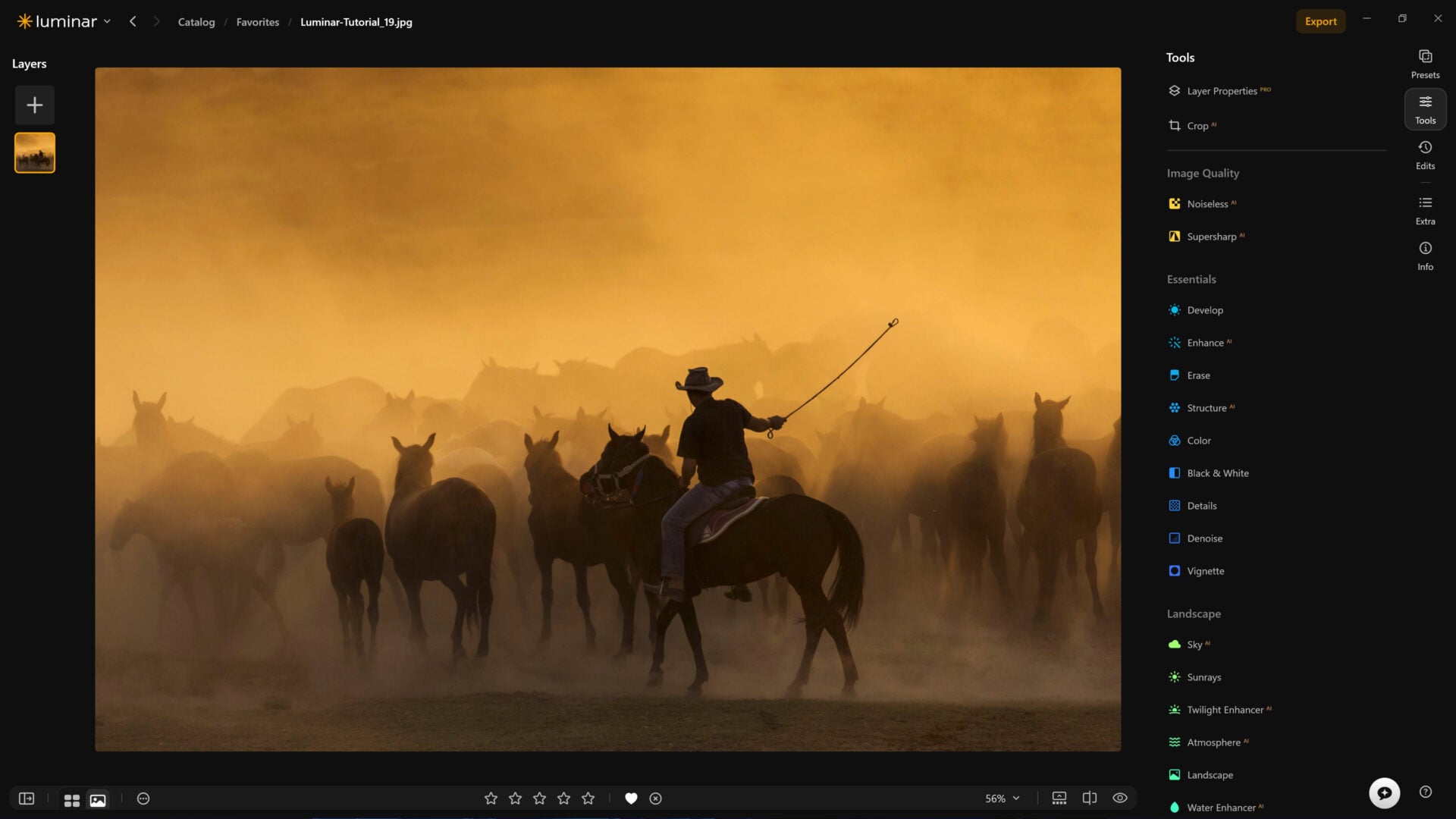 luminar neo updates
