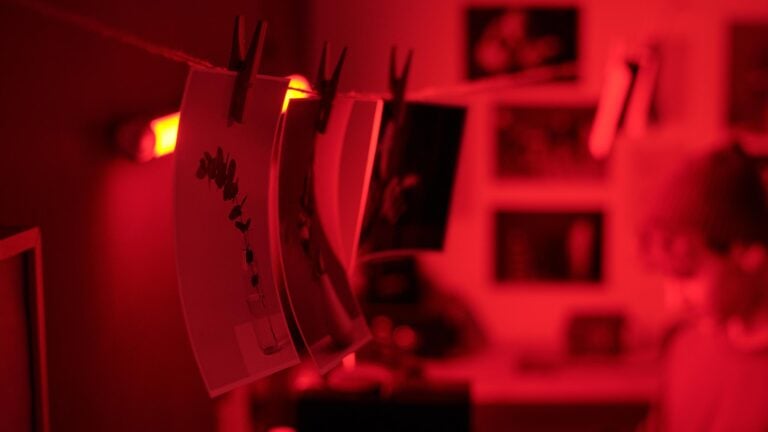 Where and How to Practice Photography: Practical Ways to Get Better