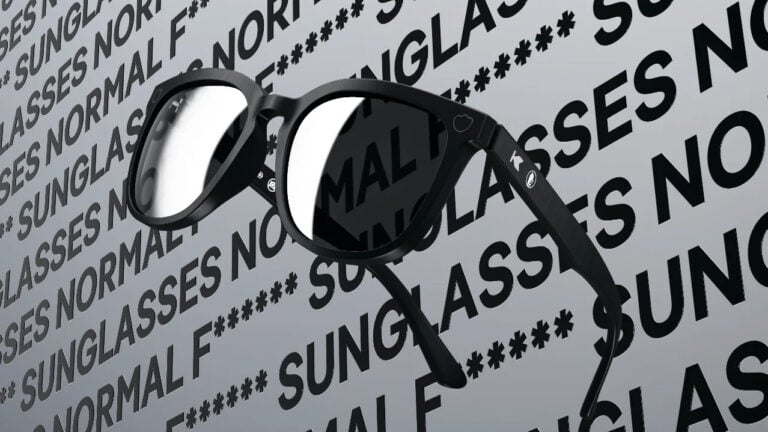 DuckDuckGo sunglasses