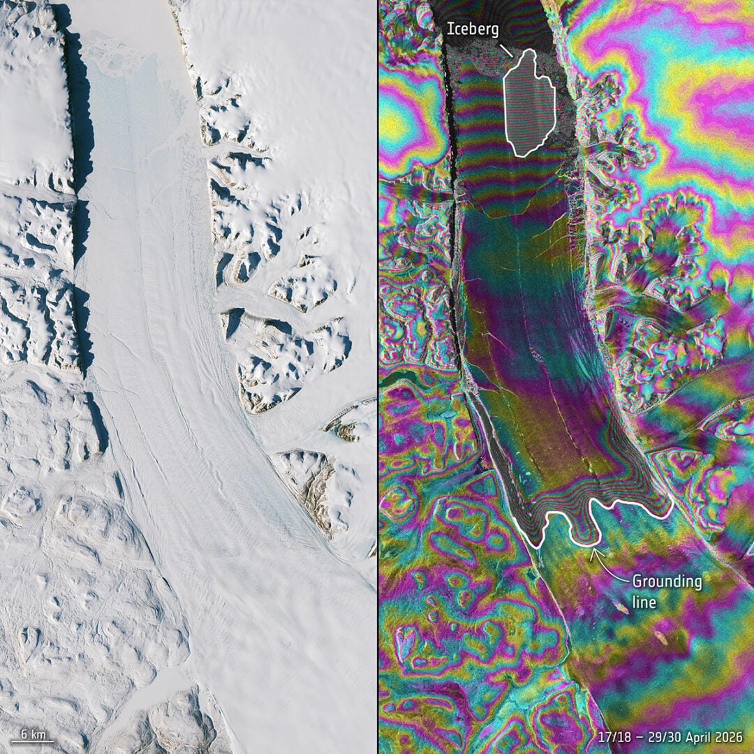 Sentinel-1 interferometry highlights fractures of the Petermann ice tongue. Credit: contains modified Copernicus Sentinel data (2026), processed by M. Hammond (University of Leeds) and ESA