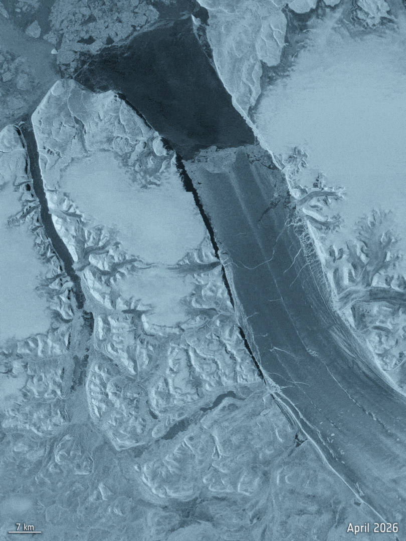 A timelapse of the Petermann ice tongue through April–August 2026. Credit: contains modified Copernicus Sentinel data (2026), processed by ESA