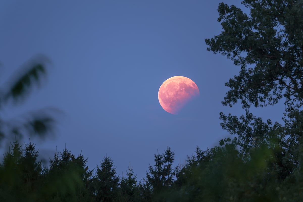 A partial lunar eclipse near its peak, as visible from the roof of the ESO Headquarters in Garching, Germany on 7 August 2017. Credit: ESO/P. Horálek